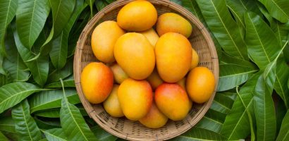 is-mango-good-for-weight-loss?-debunking-common-misconceptions