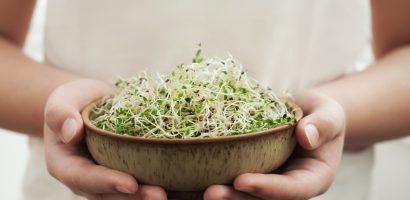 from-seeds-to-sprouts:-are-sprouts-useful-for-weight-loss?