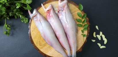 bombay-duck:-a-fish-devoted-to-your-good-health