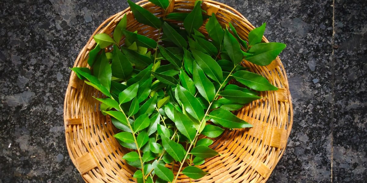 curry-leaves-benefits:-what-one-needs-to-know