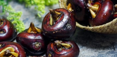 the-untold-benefits-of-water-chestnuts